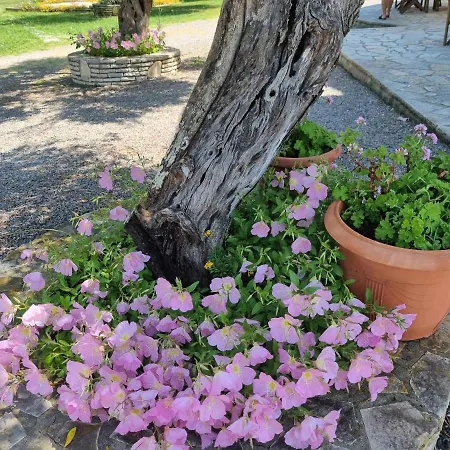Villa Corfu 1 *